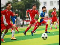 纽卡VS伯恩茅斯直播分析热记：快船有意送走小卡 我认为他是比字母哥更适合热火的引援