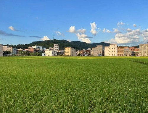 拜仁VS巴黎直播_拜仁VS巴黎免费在线高清直播_拜仁VS巴黎视频在线观看无插件 拜仁VS巴黎直播_拜仁VS巴黎免费在线高清直播_拜仁VS巴黎视频在线观看无插件